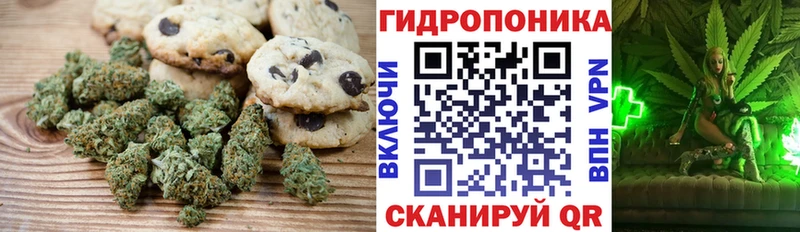 OMG как зайти  как найти закладки  Рязань  Печенье с ТГК марихуана 
