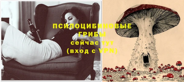 бутират Алзамай