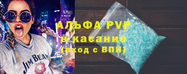 мяу мяу мука Абаза