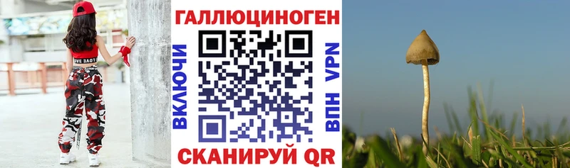 купить наркотики сайты  Рязань  Галлюциногенные грибы мицелий 
