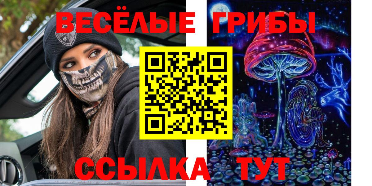 Псилоцибиновые грибы Cubensis Рязань